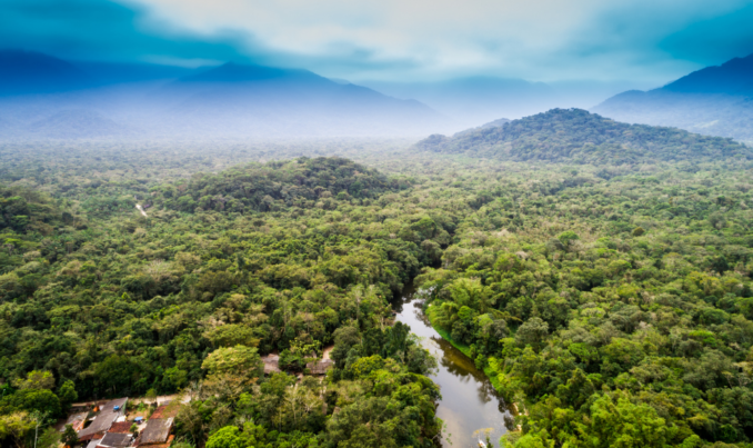 An overview of a small river cutting through a rainforest.
