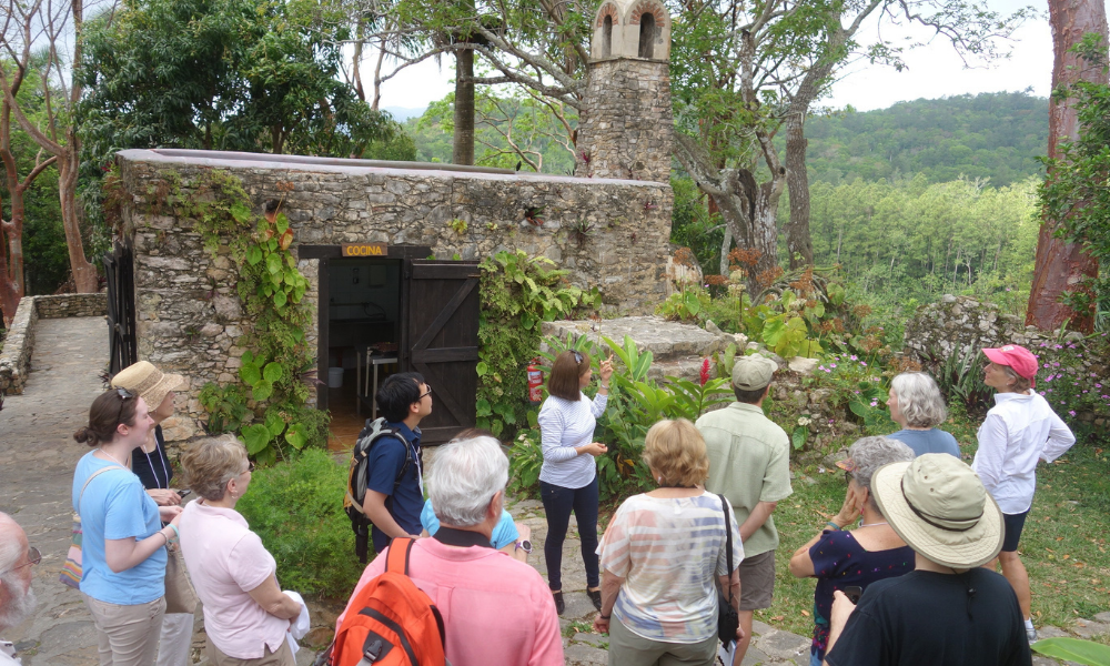 A small group of tourists gather around a guide as she describes their surroundings.