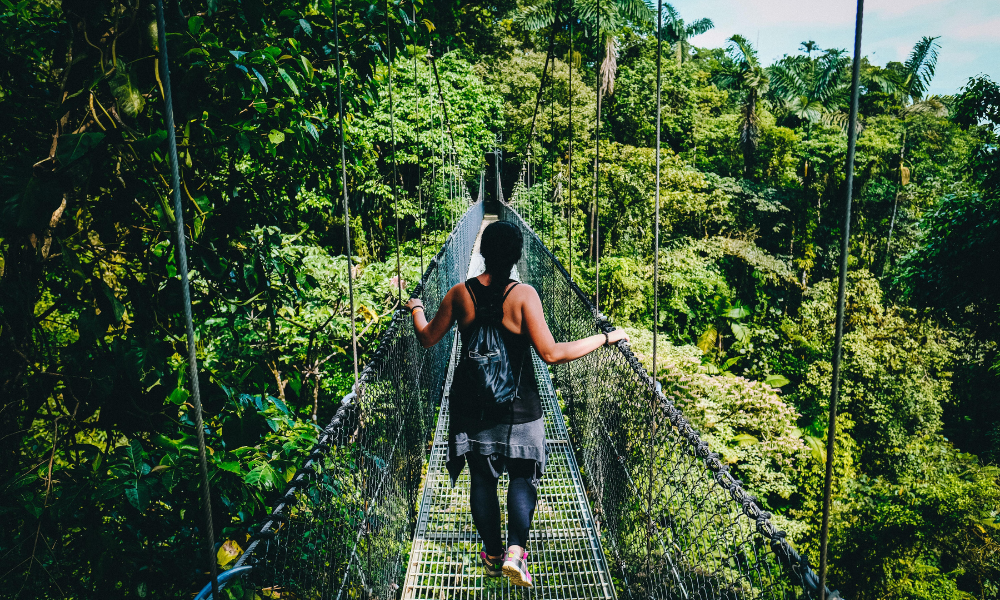A hiker on a bridge over the canopy of a rainforest.