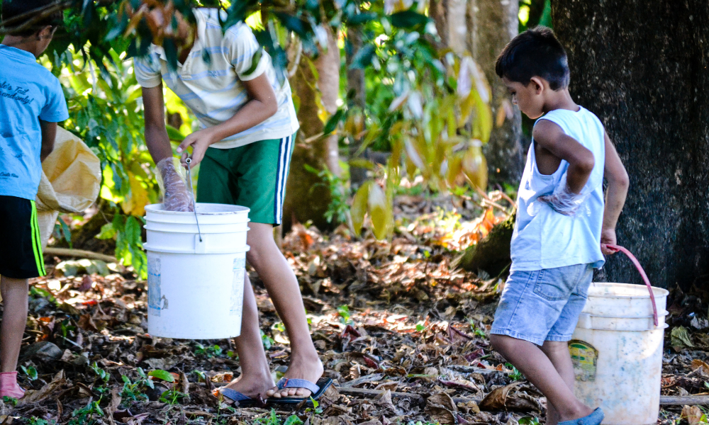 children clean up trash outside