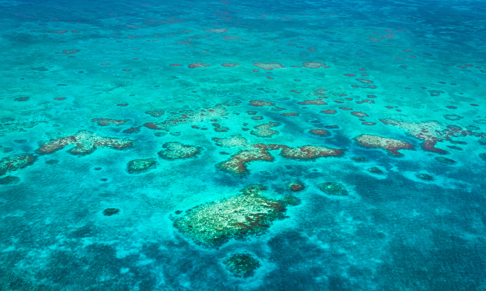 aerial view of blue water and reefs in belize