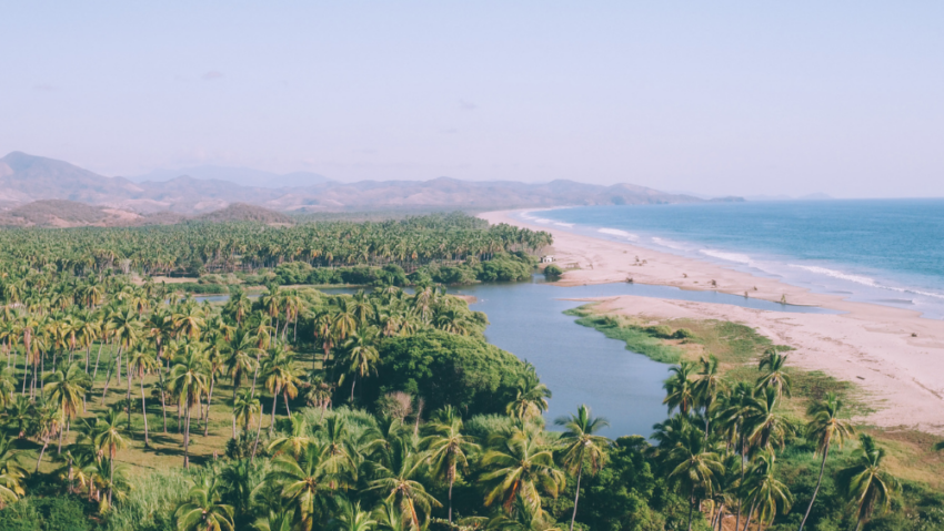 Conserving what we love: Playa Viva’s watershed regeneration project