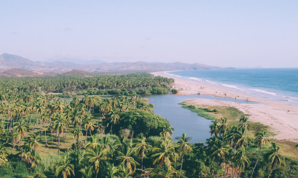 Conserving what we love: Playa Viva’s watershed regeneration project