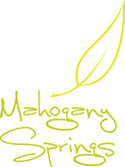 Mahogany Springs 2025 World Tourism Forum Community Sponsor