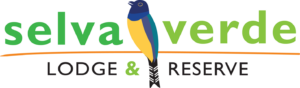 Selve Verde Lodge 2025 Auction Supporting Sponsor World Tourism Forum